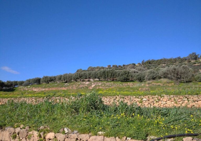 PLOT IN AGIA PELAGIA